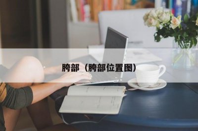 ​胯部（胯部位置图）