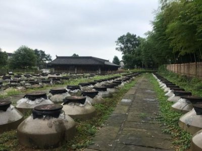 ​中国葡萄酒庄园管理(葡萄酒庄园管理方案)