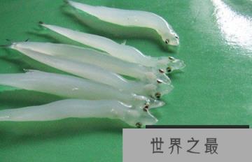 世界八大怪鱼排行榜，翻车鱼、水滴鱼、喷火鱼，你听过吗？