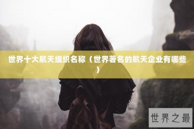 ​世界十大航天组织名称（世界著名的航天企业有哪些）