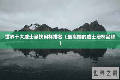 ​世界十大威士忌饮用杯排名（最高端的威士忌杯品牌）