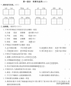 ​六年级语文（下册）期末核心能力检测卷五套及答案，家长检测必备