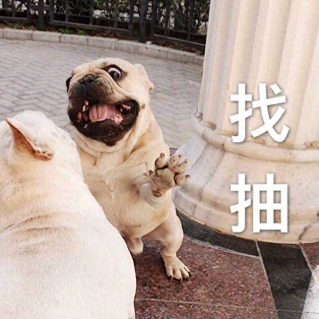薛定谔把妹法(薛定谔把妹法教你脱单？)