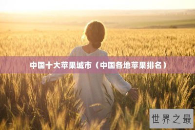 ​中国十大苹果城市（中国各地苹果排名）