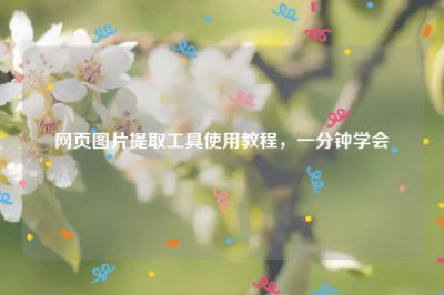 ​网页图片提取工具使用教程，一分钟学会