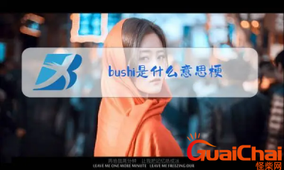 ​网络用语bushi是什么梗？bushi的意思是什么？