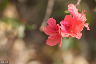 ​Po文~《PY的自我修养》作者：任平生