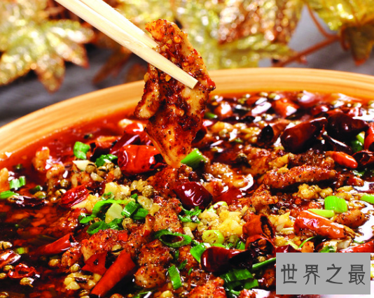 美食王国八大菜系，每一种都让人口水流不停(饿了一定不要看)