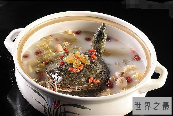 中国十大禁菜之铁板甲鱼，活煮甲鱼享受折磨的乐趣