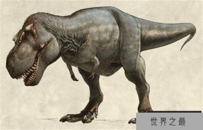 ​恐龙和大蟒蛇谁厉害 最厉害的恐龙是什么恐龙（恐龙）