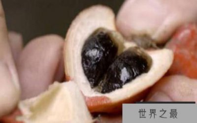 ​世界上最甜的果实，比食糖甜3万倍
