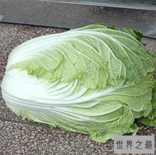 十大健康蔬菜排行，世界公认十大健康蔬菜