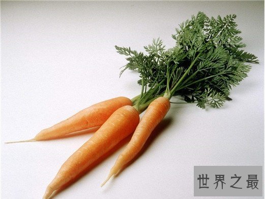 十大健康蔬菜排行，世界公认十大健康蔬菜