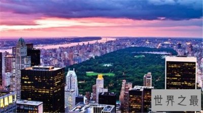 ​当今世界上最大的城市 最多元化没有之一的一座发达城市