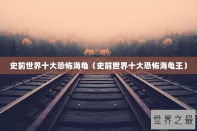 ​史前世界十大恐怖海龟（史前世界十大恐怖海龟王）