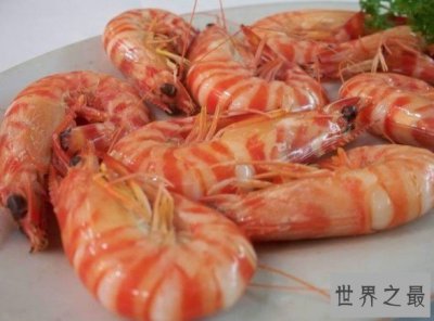 ​世界首款人造虾来袭，口味均与真虾无异