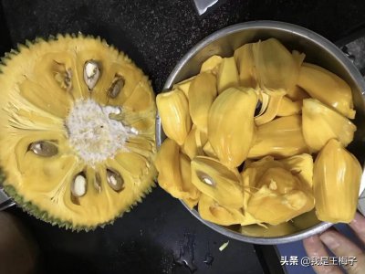 ​菠萝蜜怎么剥开（菠萝蜜怎么剥开最简单视频）