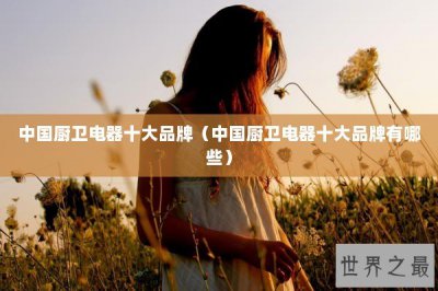 ​中国厨卫电器十大品牌（中国厨卫电器十大品牌有哪些）