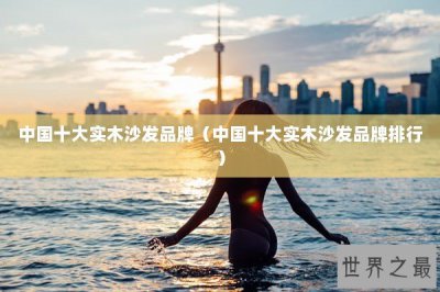 ​中国十大实木沙发品牌（中国十大实木沙发品牌排行）