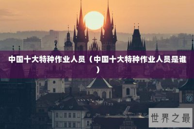 ​中国十大特种作业人员（中国十大特种作业人员是谁）