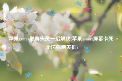 ​苹果xsmax触屏失灵一招解决(苹果xsmax屏幕卡死 无法强制关机)