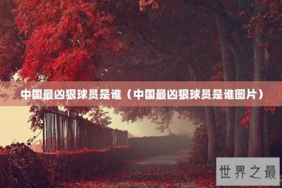 ​中国最凶狠球员是谁（中国最凶狠球员是谁图片）