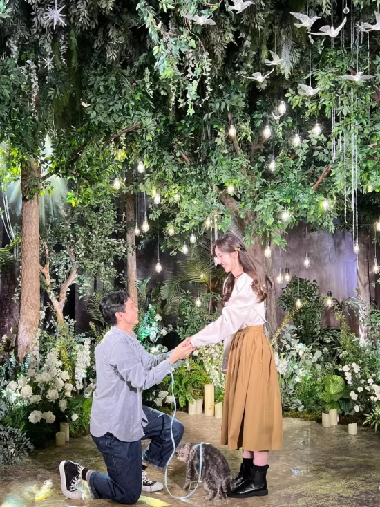 非常完美晁然被表白的是哪一期（晁然被求婚男友激动到爆哭）