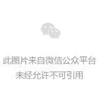 2022年IP社“救世主”—八蜜凛 - 