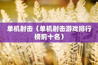 ​气囊游丝(气囊游丝内部缠绕教程视频)