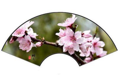 ​桃花扇中的李香君是根据什么李姬传中的人物改编 桃花扇传奇李香君独白