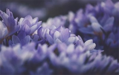 ​漂完头发多久可以烫发（漂完头发后多久可以烫）