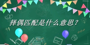 择偶匹配是什么意思？