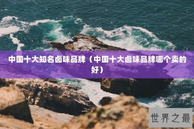 ​中国十大知名卤味品牌（中国十大卤味品牌哪个卖的好）