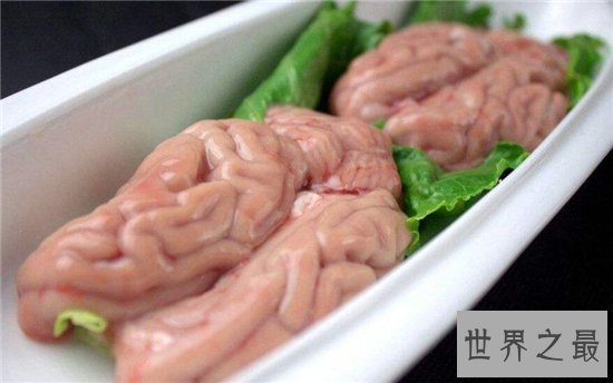 中国十大禁菜排行榜，血腥程度难以想象