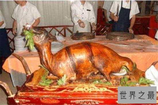 中国十大禁菜排行榜，血腥程度难以想象