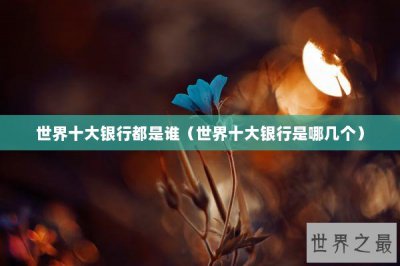 ​世界十大银行都是谁（世界十大银行是哪几个）