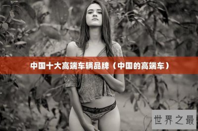 ​中国十大高端车辆品牌（中国的高端车）