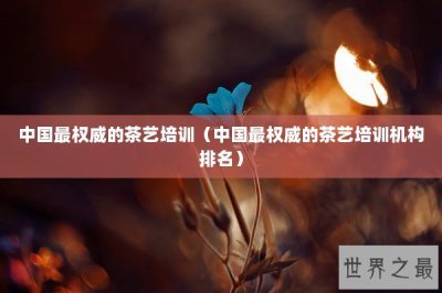 ​中国最权威的茶艺培训（中国最权威的茶艺培训机构排名）