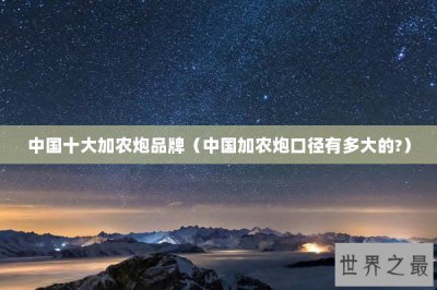 ​中国十大加农炮品牌（中国加农炮口径有多大的?）