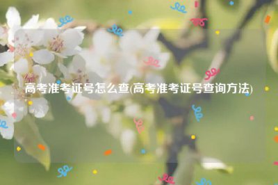 ​高考准考证号怎么查(高考准考证号查询方法)