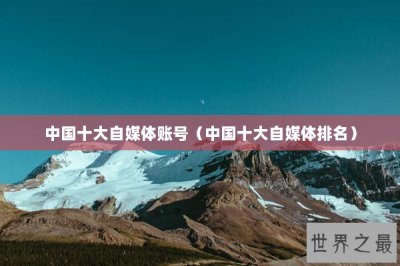 ​中国十大自媒体账号（中国十大自媒体排名）