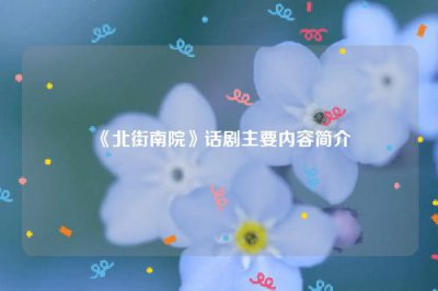 ​《北街南院》话剧主要内容简介
