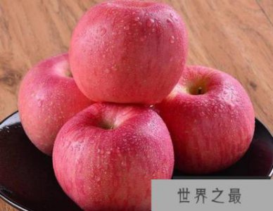 ​花椰菜和苹果是促进新陈代谢的好选择