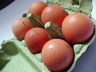 ​吃什么补脑（吃核桃健脑益智！但其实以下4种食物多吃，补脑效果会更好）