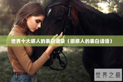 ​世界十大感人的表白语录（很感人的表白话语）