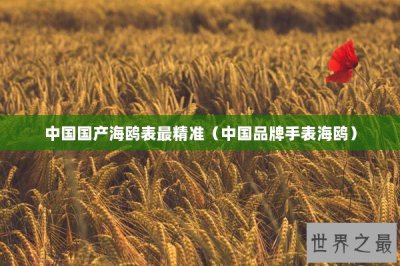 ​中国国产海鸥表最精准（中国品牌手表海鸥）