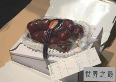 ​世界上最贵的葡萄：浪漫红宝石一串6.6万(日本天价葡萄)