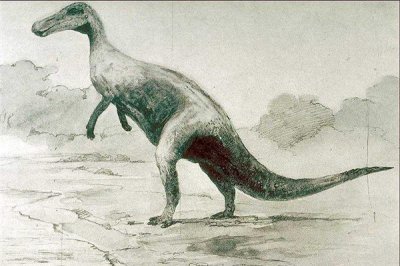 ​纤手龙：接近颌龙科（出现距今8000万年之前）