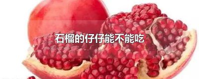 ​石榴的仔仔能不能吃 石榴仔仔可以吃吗