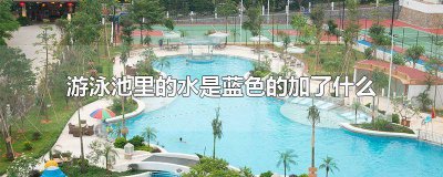 ​游泳池里面的水为什么是蓝色的 游泳池的水为什么蓝色浑浊呢